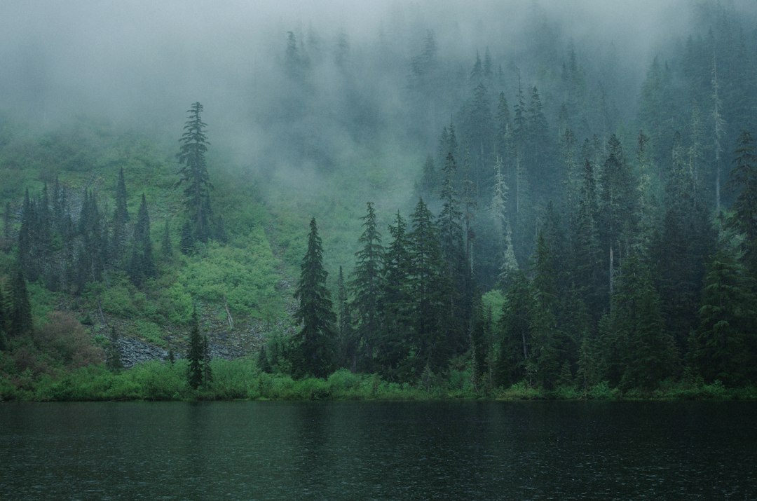 Crews Lake Wilderness Park