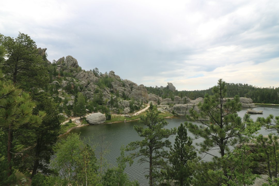 Cypress Creek Preserve
