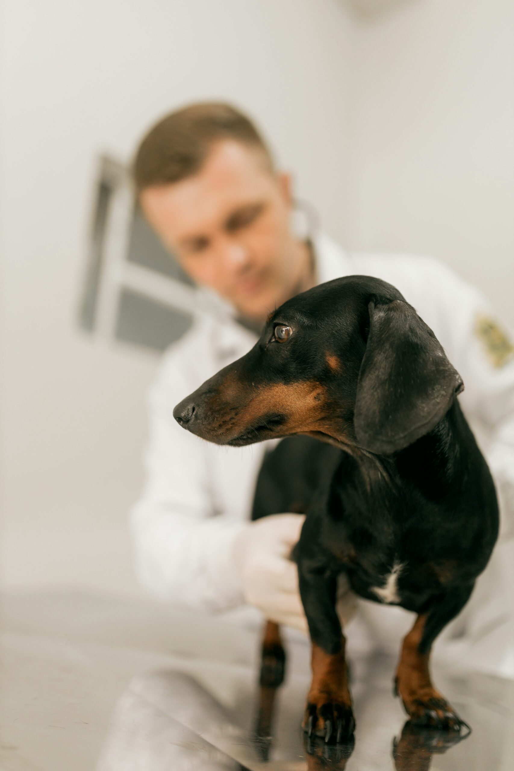 Dade City Animal Clinic