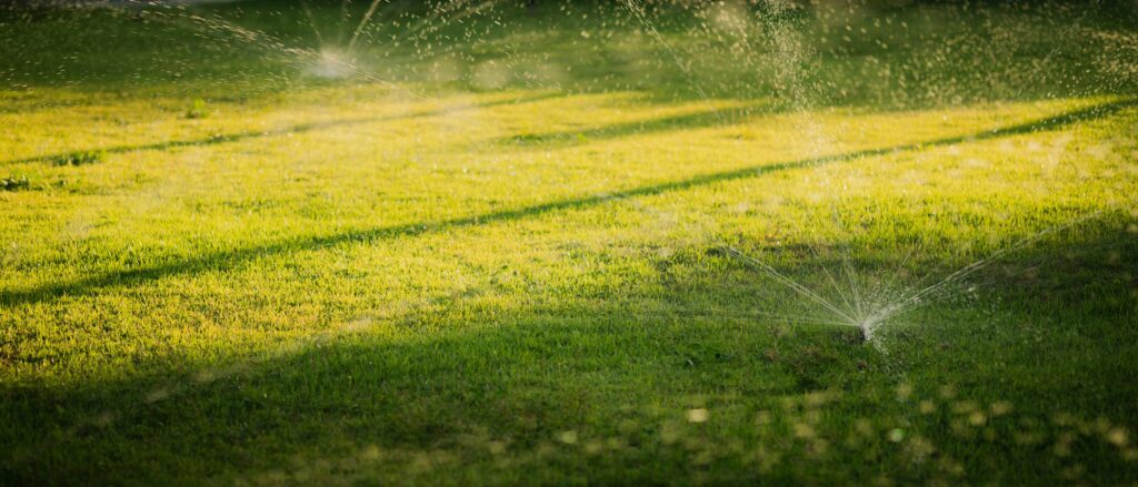 First Class Grass in Pasco County, Florida