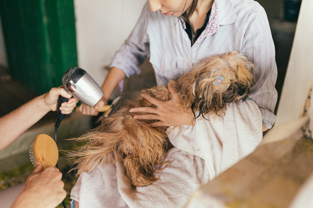 Hudson Pet Grooming