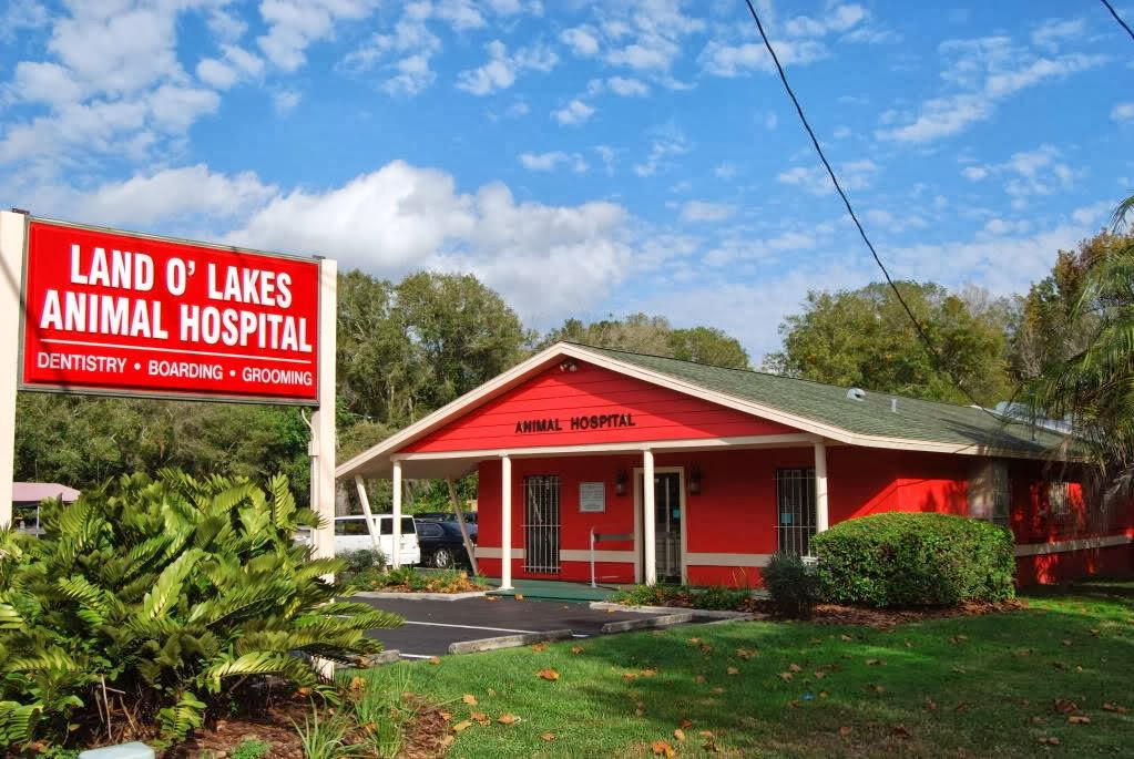 Land O Lakes Animal Hospital in Pasco County, Florida