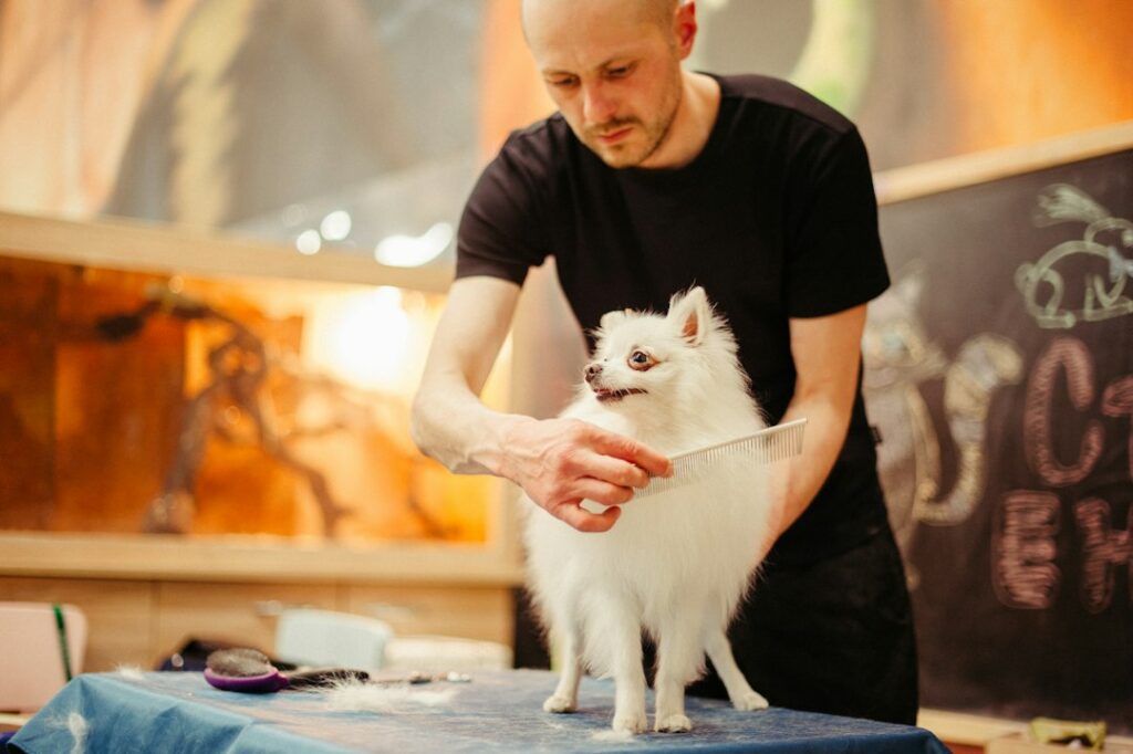 Professional pet grooming for Land O Lakes Pet Grooming