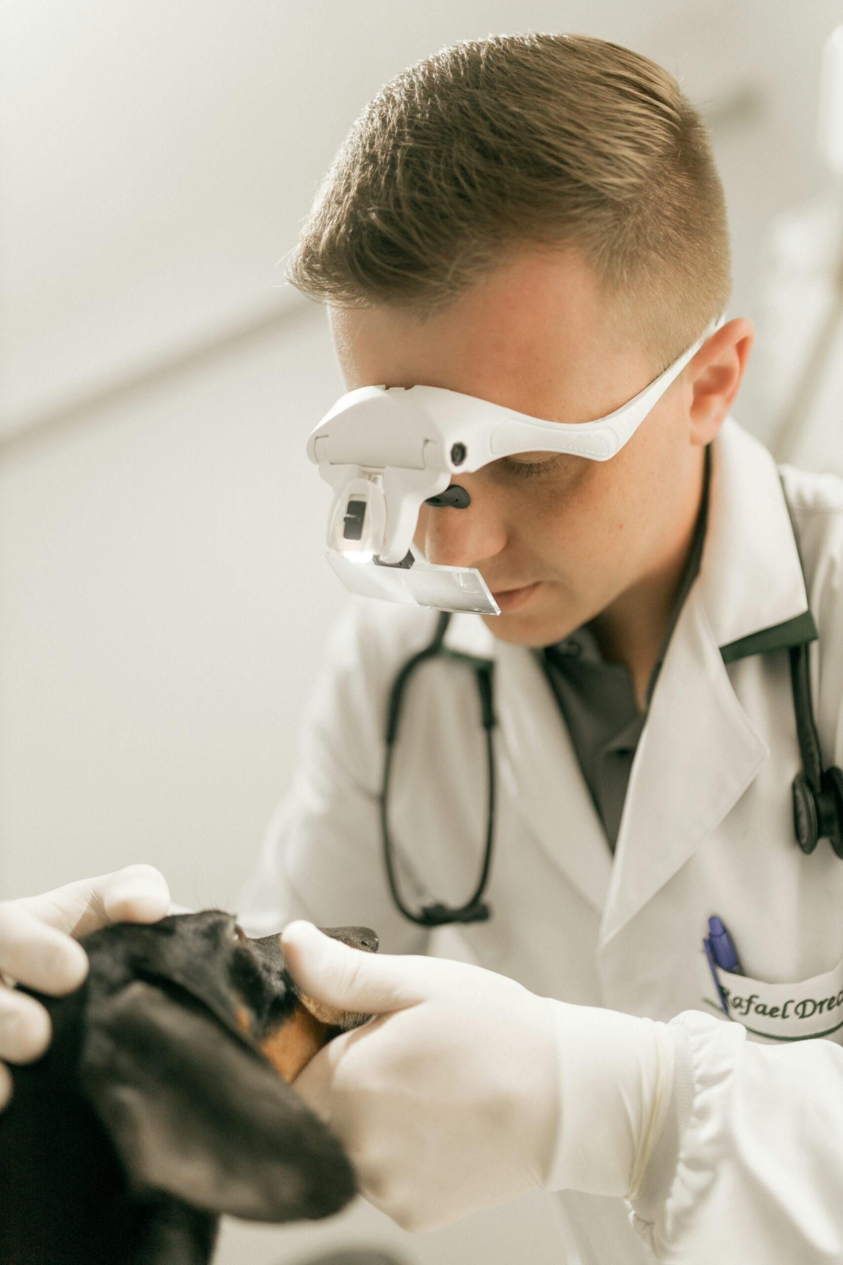 Seven Oaks Pet Hospital