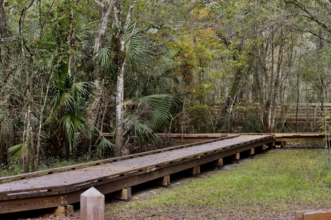 Starkey Ranch District Park
