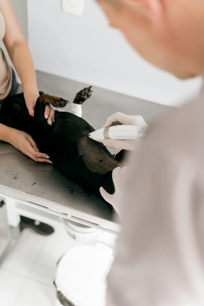 Trinity Oaks Pet Wellness Center in Pasco County, Florida