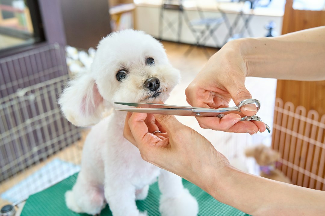 Trinity Pet Salon