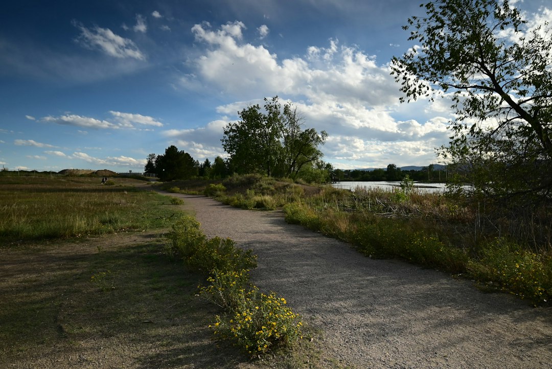 Veterans Memorial Park
