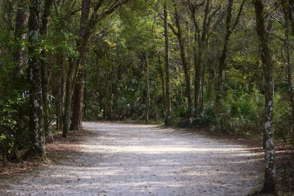 Werner-Boyce Salt Springs State Park in Pasco County, Florida