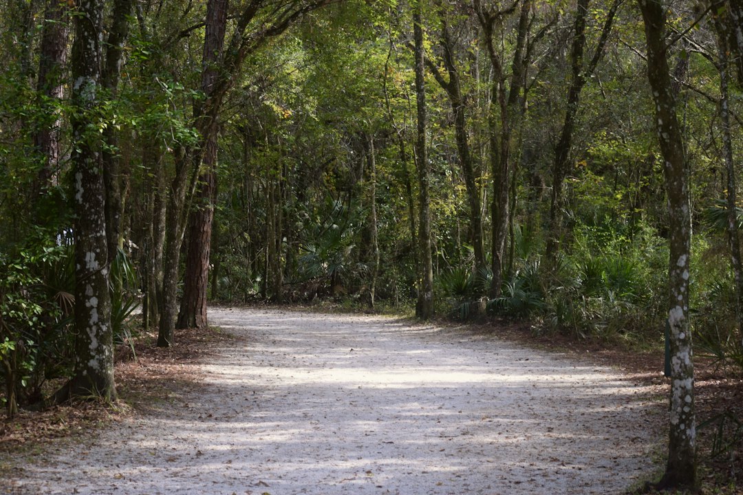 Werner-Boyce Salt Springs State Park