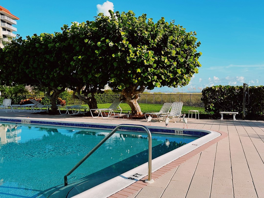 Wesley Chapel Pool Service