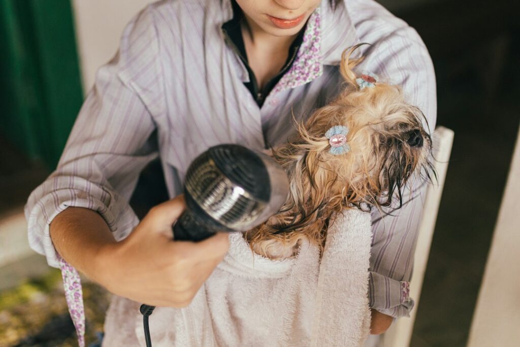 Zephyrhills Pet Grooming in Pasco County, Florida