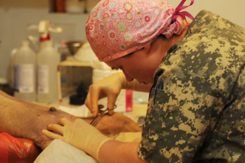 Zephyrhills Veterinary Clinic in Pasco County, Florida