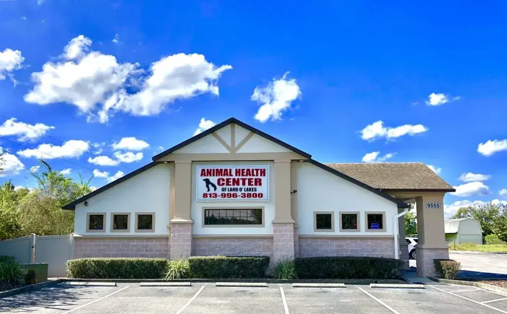 Animal Health Center of Land O’ Lakes in Pasco County, Florida