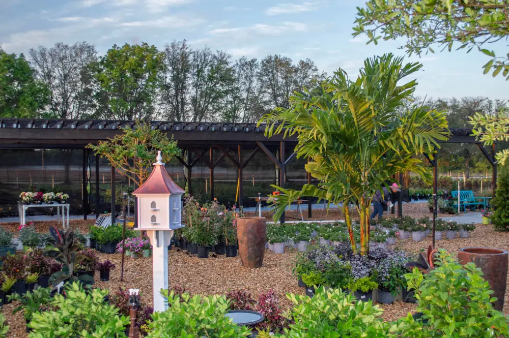 Handcart Garden Center in Pasco County, Florida