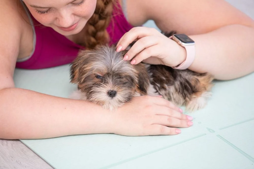 Pawsitively Pilates in Pasco County, Florida