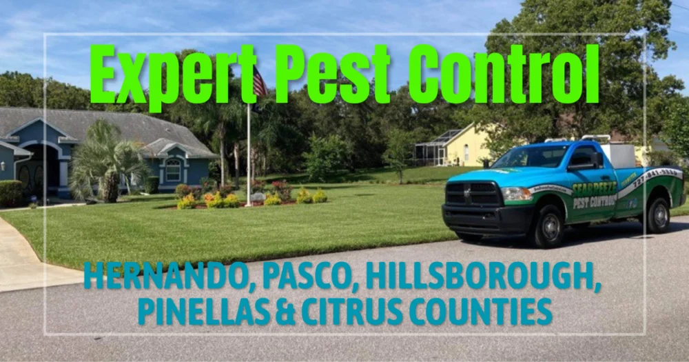 Seabreeze Pest Control in Pasco County, Florida