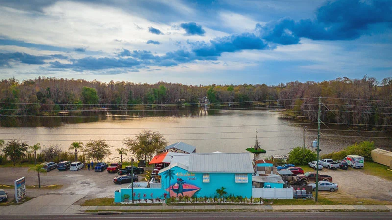 Ukulele Brand’s in Pasco County, Florida